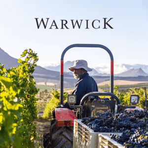 Wijndomein Warwick - Cape & Grapes